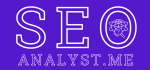 SEO Analyst Logo Official